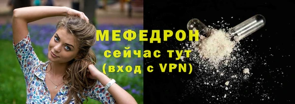 гашик Ладушкин