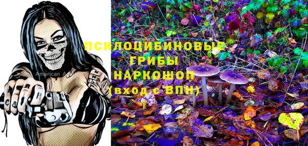 гашик Ладушкин