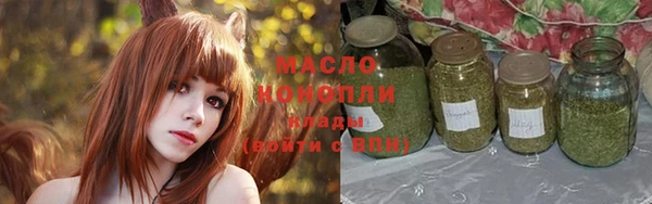гашик Ладушкин