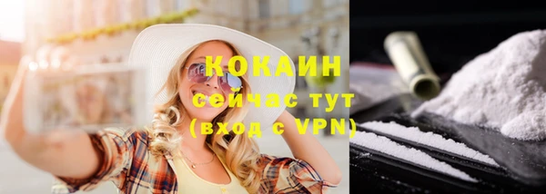 гашик Ладушкин