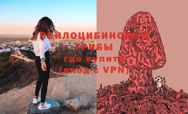 гашик Ладушкин