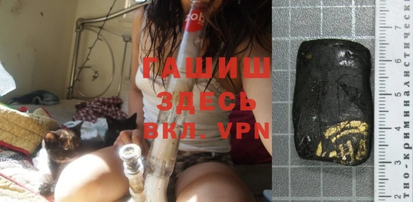 гашик Ладушкин