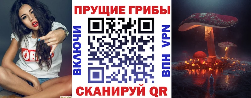 Галлюциногенные грибы мицелий  Мглин 
